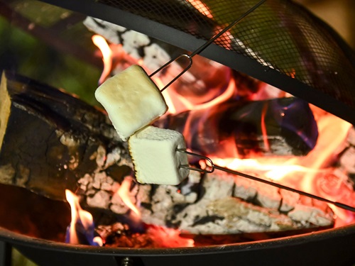 Marshmallows on the fire